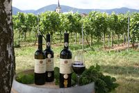 Weingut Werner Anselmann