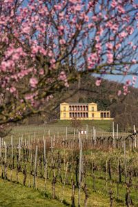 Schloss Villa Ludwigshöhe