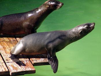 Zoo Landau Pfalz