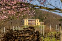 Schloss Villa Ludwigshöhe